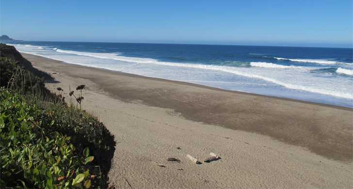 Gleneden Beach State Recreation Site Oregon State Parks And